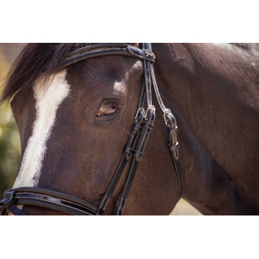 Bridon Pénélope Smoothie Noir