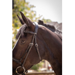 Bridon Pénélope Smoothie Noir