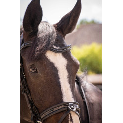 Bridon Pénélope Smoothie Noir