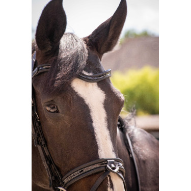 Bridon Pénélope Smoothie Noir