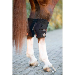Protège-jarret LeMieux Conductive Magno Protège-jarret LeMieux Conductive Magno
