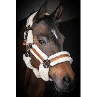 Licol Pénélope Soft Noir / beige