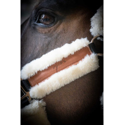 Licol Pénélope Soft Noir / beige