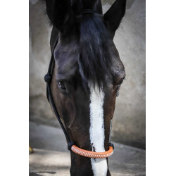 Licol éthologique Pénélope américain Noir Licol éthologique Pénélope américain Noir