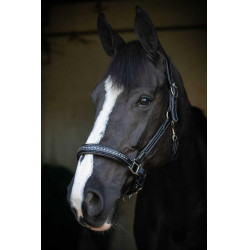 Licol cuir Pénélope Point Sellier Noir