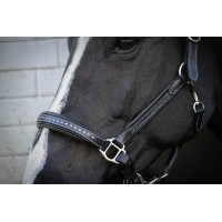 Licol cuir Pénélope Point Sellier Noir Licol cuir Pénélope Point Sellier Noir