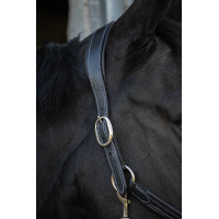 Licol cuir Pénélope Point Sellier Noisette Marron