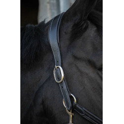 Licol cuir Pénélope Point Sellier Noir