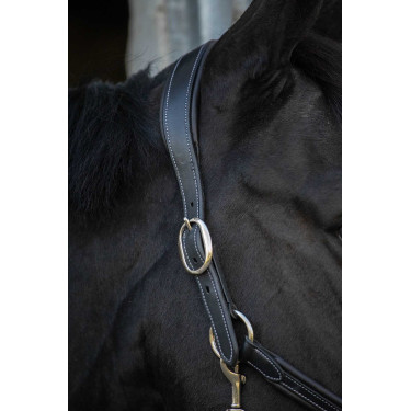 Licol cuir Pénélope Point Sellier Noir