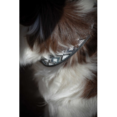 Collier pour chien Pénélope Pearl Noir / blanc
