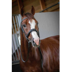 Bridon Pénélope Daily Noir