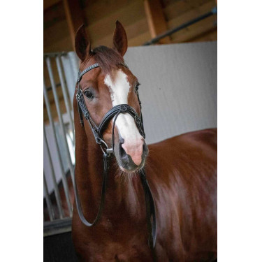 Bridon Pénélope Daily Noir