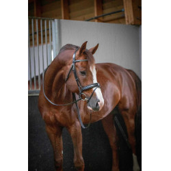 Bridon Pénélope Daily Noir