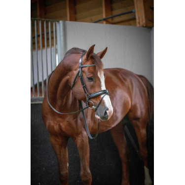 Bridon Pénélope Daily Noir