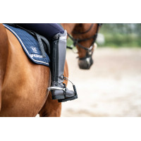 Éperons Sprenger FairRider plats