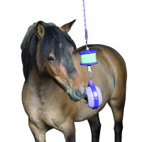 Jeu pierre à sel Boredom Buster Likit