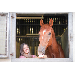 Pierre à lécher Little Likit