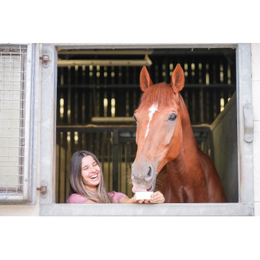Pierre à lécher Little Likit