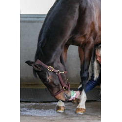 Pierre à lécher Little Likit