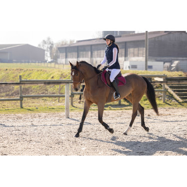 Gilet Pro Series Piaffer Bleu marine Gilet Pro Series Piaffer Bleu marine