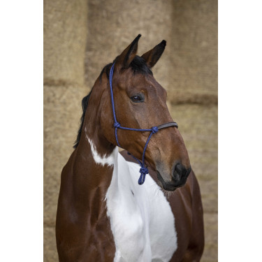 Licol éthologique Norton corde/synthétique Bleu roi