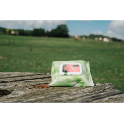 Easy Shine Wipe Ravene Lingettes nettoyantes