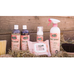 Easy Shine Wipe Ravene Lingettes nettoyantes