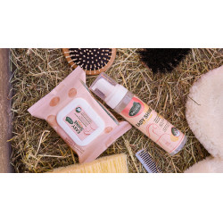 Easy Shine Wipe Ravene Lingettes nettoyantes