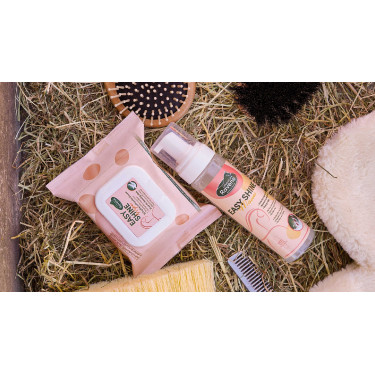 Easy Shine Wipe Ravene Lingettes nettoyantes