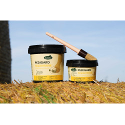 Pediguard Ravene Onguent blond