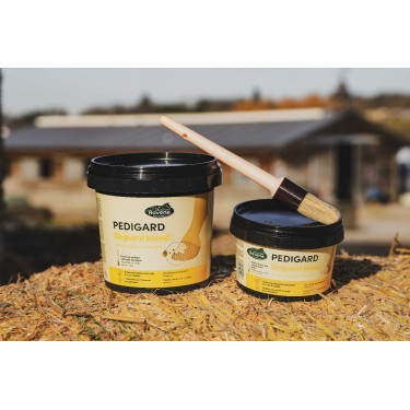 Pediguard Ravene Onguent blond