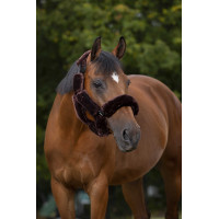 Set pour licol Equithème Teddy Marron Set pour licol Equithème Teddy Marron