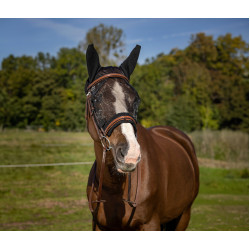 Masque anti-mouches Equithème Training