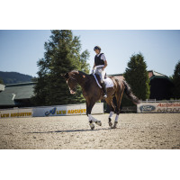 Gilet de protection Komperdell Frontzip Slim Gilet de protection Komperdell Frontzip Slim