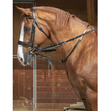 Enrênement Norton Pro Thiedeman Noir