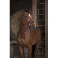 Rênes caoutchouc Norton Pro Havane Marron Rênes caoutchouc Norton Pro Havane Marron