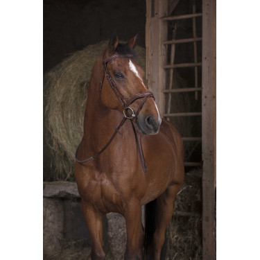 Rênes caoutchouc Norton Pro