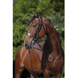 Bride Riding World Noir