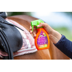 Soin rapide cuir Equinatura