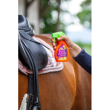 Soin rapide cuir Equinatura