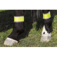 Bandages jaune réfléchissants pour postérieurs