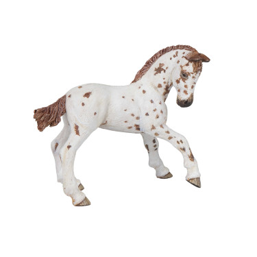 Figurine Poulain Appaloosa Papo