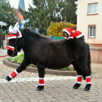 Bonnet oreilles Noël en forme de bois de renne Bonnet oreilles Noël en forme de bois de renne