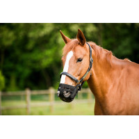 Panier muselière Norton Panier muselière Norton