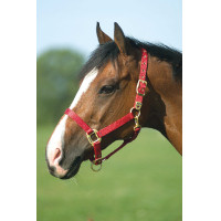 Licol Equithème Nylon Rouge Licol Equithème Nylon Rouge
