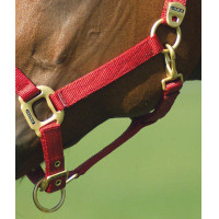 Licol Equithème Nylon Rouge Licol Equithème Nylon Rouge