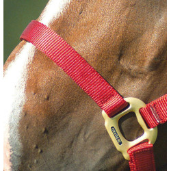 Licol Equithème Nylon Rouge