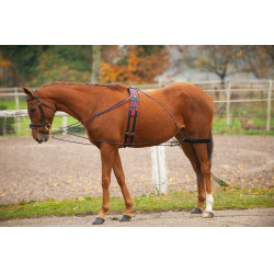 Enrênement à poulies Norton Enrênement à poulies Norton