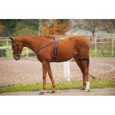 Enrênement à poulies Norton Enrênement à poulies Norton