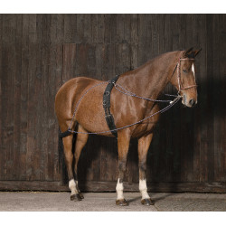 Enrênement à poulies Norton Enrênement à poulies Norton